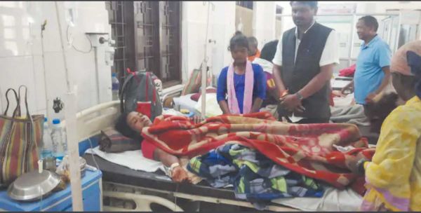 जा रही महिला पर भालू का हमला, जख्मी