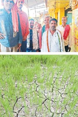 ट्रांसफार्मर फेल, किसानों ने कहा फसल सूख गई, कोई सुनने वाला नहीं 