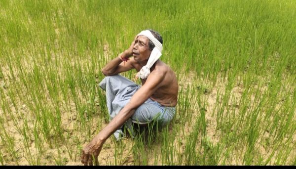 अगस्त सूखा बीता, बारिश की बूंदों के लिए तरसे किसान