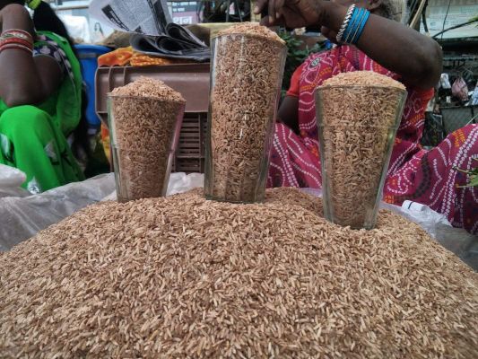 संतान की लंबी आयु के लिए माताएं रखेंगी व्रत