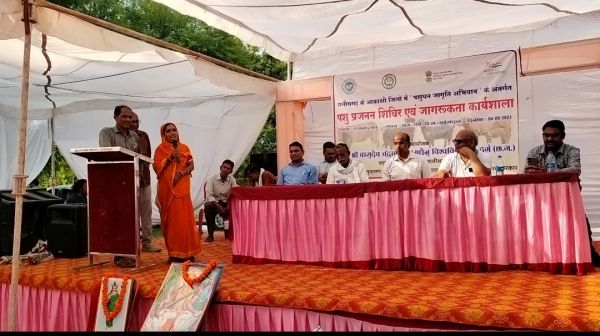 160 पशुओं का नि:शुल्क इलाज