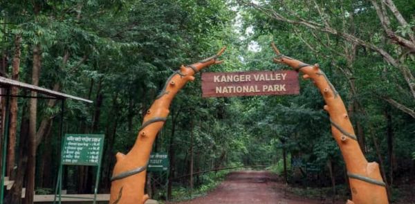 कांगेर घाटी राष्ट्रीय उद्यान में ‘युवोदय वन मितान’ कार्यशाला 