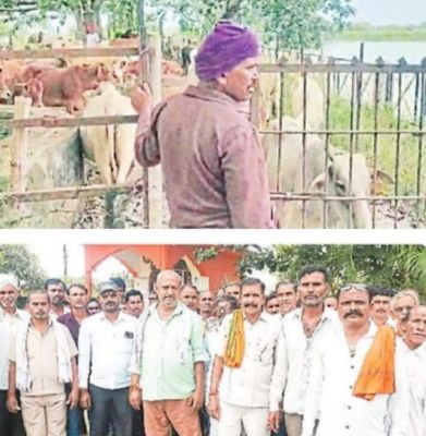 परेशान किसानों ने आवारा पशुओं को जंगल में छोडऩे कलेक्टर से की मांग 