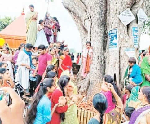 पोला पर्व की रही धूम, नंदिया बैल, पोला-जाता की पूजा कर बैल दौड़ में लिया हिस्सा