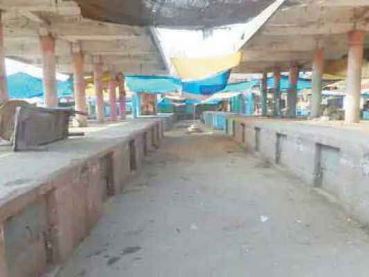 अतिक्रमणकारी जमकर कर रहे हैं अवैध कब्जा