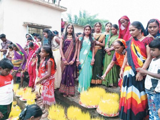 धूमधाम से मना भोजली त्योहार