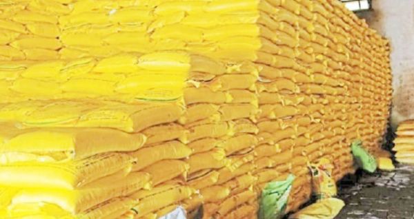 अमानक बीज, कीटनाशक व खादों की जांच जारी