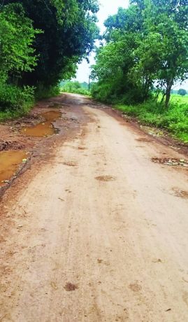  बार-बार गुहार लगाने के बावजूद सडक़ नहीं सुधरी, हादसे की आशंका