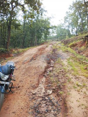 भूपेश सरकार ने बहुप्रतीक्षित सडक़ का सपना किया साकार-गुलाब