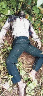 सडक़ किनारे युवक की मिली लाश