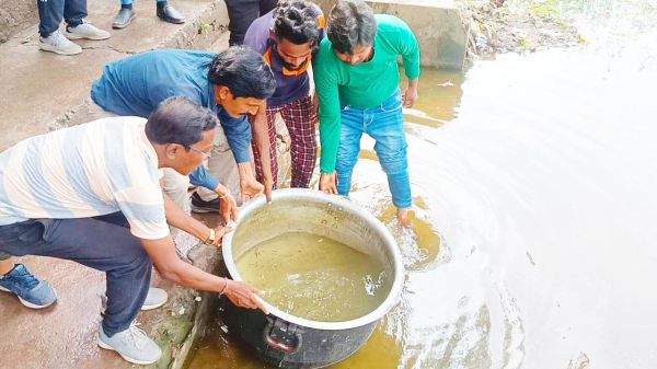 डेंगू लार्वा नष्ट करने तालाबों में छोड़ी गंबूजिया मछली