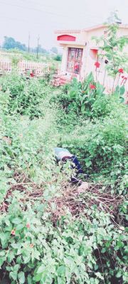  रेल्वे फाटक के पास जंगल में मिली युवक की लाश, जांच शुरू