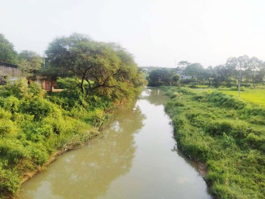 नाला किनारे फ्लाई ऐश डालने लग रहे आवेदन