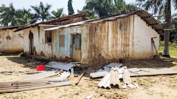 न नेट शेड बचा, न पौधे बचे, खाद-बीज, दवाई भी किया नष्ट