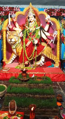 नवापारा में दुर्गोत्सव की धूम