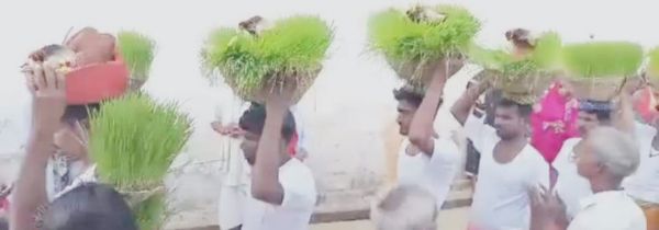 मोर दुर्गा दाई के होवत हे विदाई  ....जोत-जंवारे का भी विसर्जन 