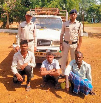 मवेशियों की तस्करी करते 3 गिरफ्तार