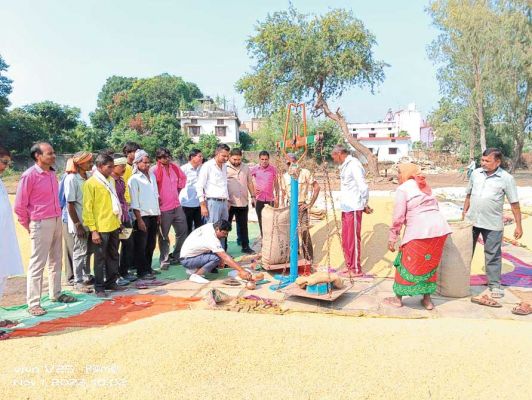 पहले दिन कुरुद क्षेत्र की सोसायटियों में 6 हजार क्विंटल से अधिक धान खरीदी