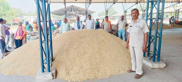 राजिम क्षेत्र में धान खरीदी शुरू पहले दिन रही अच्छी आवक