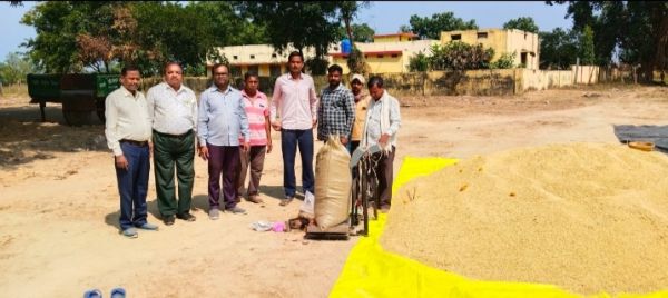 धान खरीदी के पहले दिन 742 किसानों ने 20 हजार क्विंटल से अधिक धान बेचा