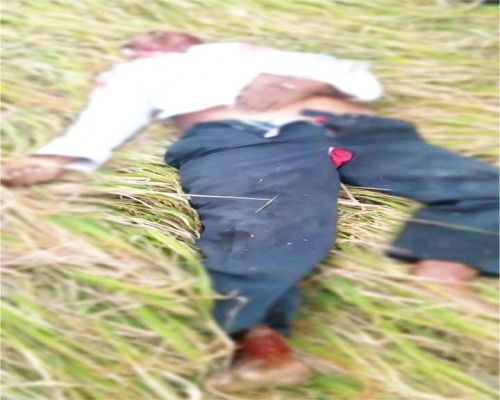 पाण्डुका परिक्षेत्र में हाथी ने बुजुर्ग को कुचल मारा