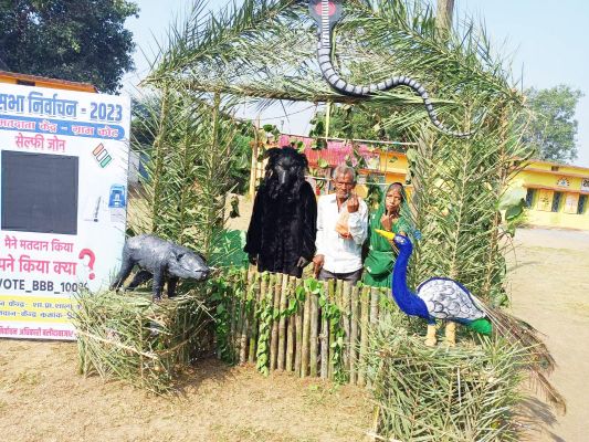 बुजुर्गों ने डाले वोट