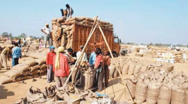 चुनाव और त्योहार का दौर खत्म होते ही उपार्जन केंद्रों में उमड़े किसान, सोमवार को हुई धान की रिकॉर्ड आवक