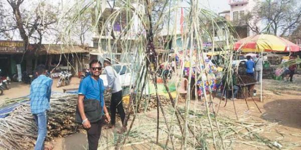 धूमधाम से मना देवउठनी एकादशी पर्व