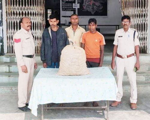 खेत में लगे अदरक की चोरी, 3 गिरफ्तार 