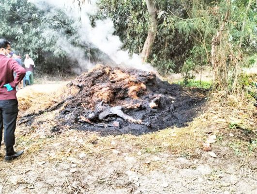 नेतनागर हत्याकांड का जल्द होगा खुलासा