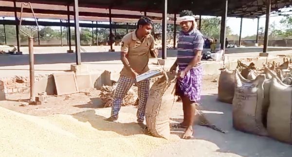 जिले में अब तक मात्र 7 हजार क्विंटल की धान खरीदी