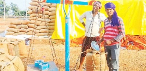 127 केन्द्रों में किसानों ने 147334 क्विंटल धान की बिक्री की 