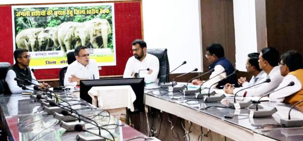 हाथी-मानवद्वन्द रोकने की दिशा  में प्रभावी कदम उठाएं