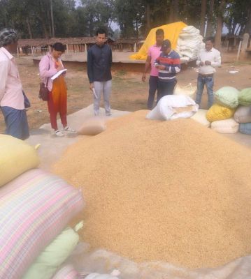 खरीदी केंद्र में 20 क्विंटल अमानक धान जब्त