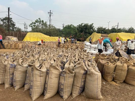 जिले में अब तक 13807.20 क्विंटल  धान की खरीदी