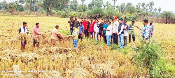 बेमौसम बारिश से किसानों की  कई एकड़ फसल बर्बाद