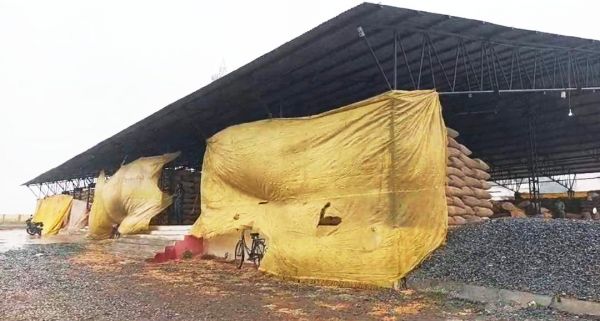  मिचौंग का असर, तेज हवाओं के साथ बूंदाबांदी, धान खरीदी प्रभावित