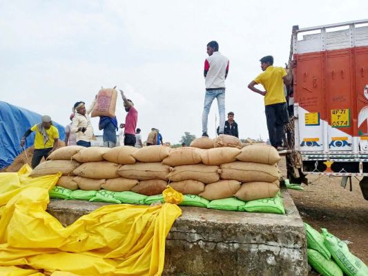 सहकारी समितियों से 4 लाख क्विंटल धान उठाव के लिए राइस मिलरों को डीओ जारी  