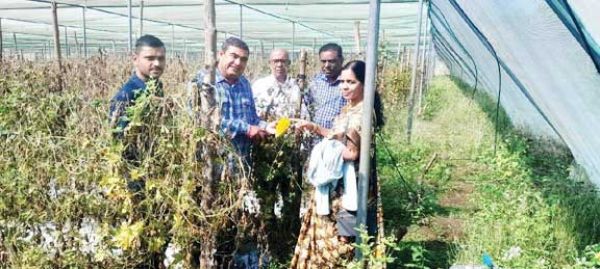 जैविक खेती के तरीके सीखने गुजरात से प्रगतिशील किसानों का दल पहुंचा कोण्डागांव