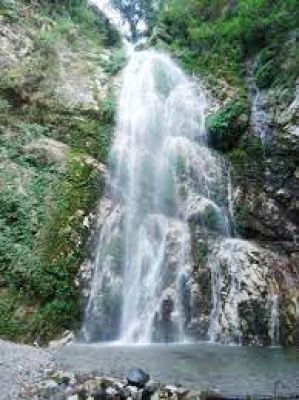 क्रिसमस व नए वर्ष की छुट्टियों के लिए बारनवापारा अभ्यारण कॉटेज और रेस्टहाउस में बुकिंग फुल