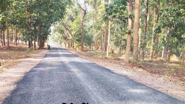 डामर सडक़ पेंचवर्क अमान्य घोषित, करना होगा दोबारा वर्क, आदेश जारी