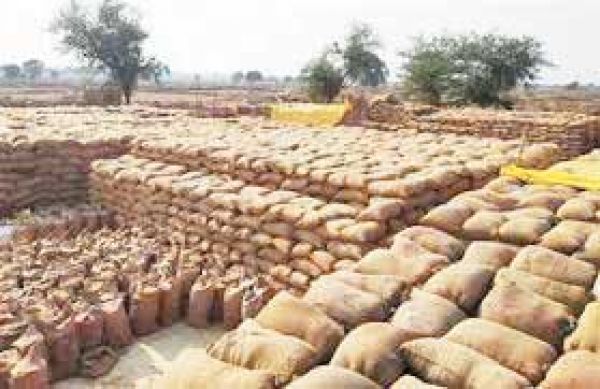 किसानों को मिलेगा बोनस के 336 करोड़ पर 327 करोड़ का कर्ज भी चुकाना होगा