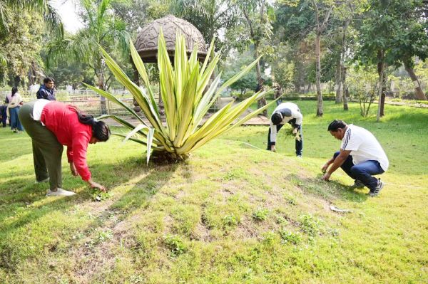 कलेक्टर ने कलेक्टोरेट गार्डन  में झाडू लगाकर की सफाई