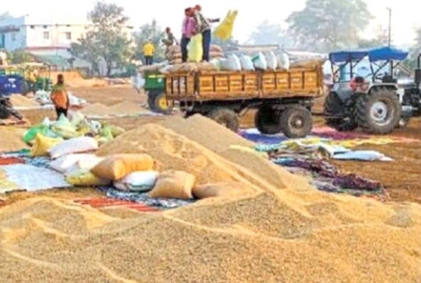 20 उपार्जन केंद्रों में उपज का परिवहन करना जरूरी ओवर स्टॉक के चलते बंद हो सकती है धान खरीदी 