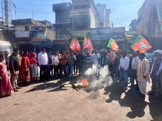 भाजपा ने जलाया राहुल का पुतला
