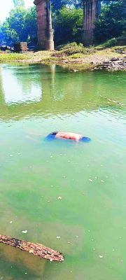 रिटायर्ड आयुर्वेदिक डॉक्टर की नाले में डूबने से मौत