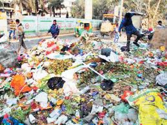 कचरा डंपिंग यार्ड में दवाइयां फेंकी