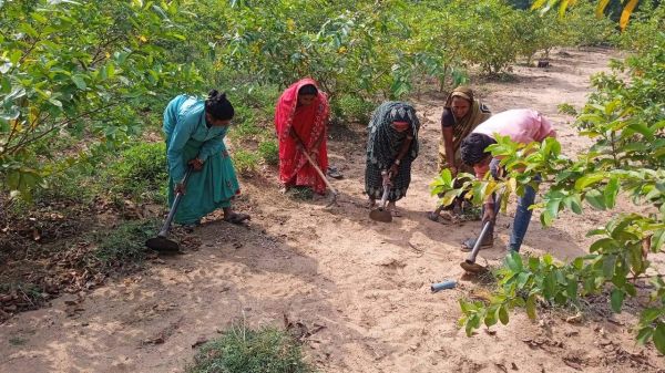 सरिता साग-भाजी, रूपेश्वर ठोस अपशिष्ट प्रबंधन से समृद्ध