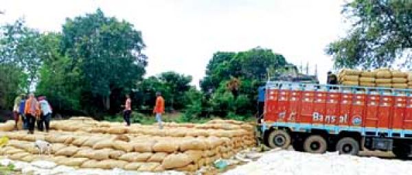 अब तक 50 फीसदी धान खरीदी उठने लगी समय बढ़ाने की मांग