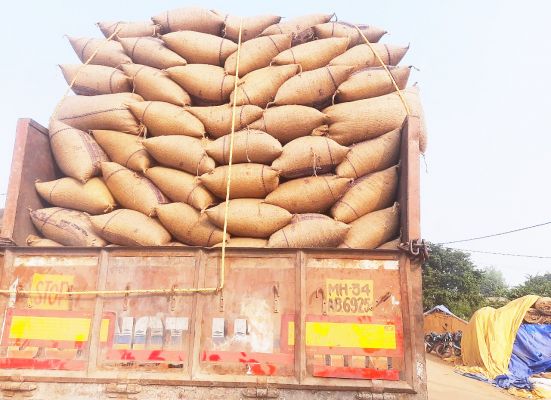 जिले में अब तक 22.30 लाख क्विंटल धान खरीदी